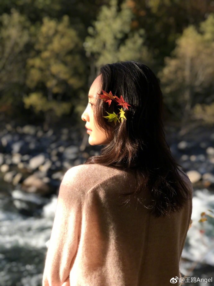 王鸥耳别枫叶侧颜温柔很动人