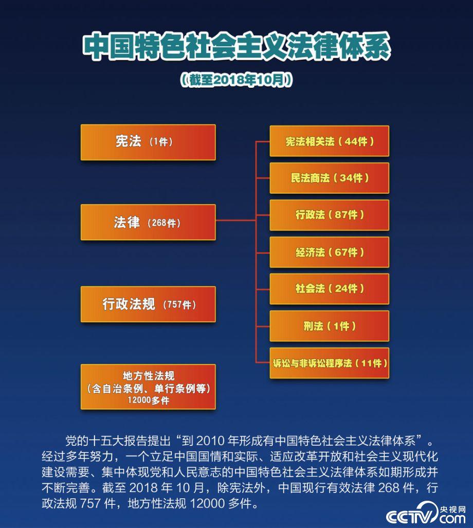 坚持中国特色社会主义政治发展道路 深入推进民主法治建设