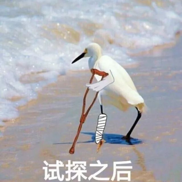 下雪冷的图片搞笑图片