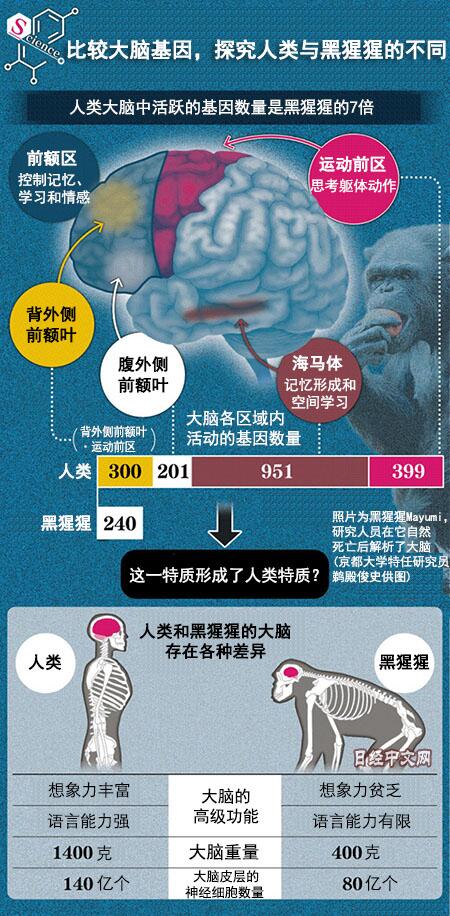 【环球网综合报道】人类究竟是怎样的一种生物,这是科学家非常想探明的