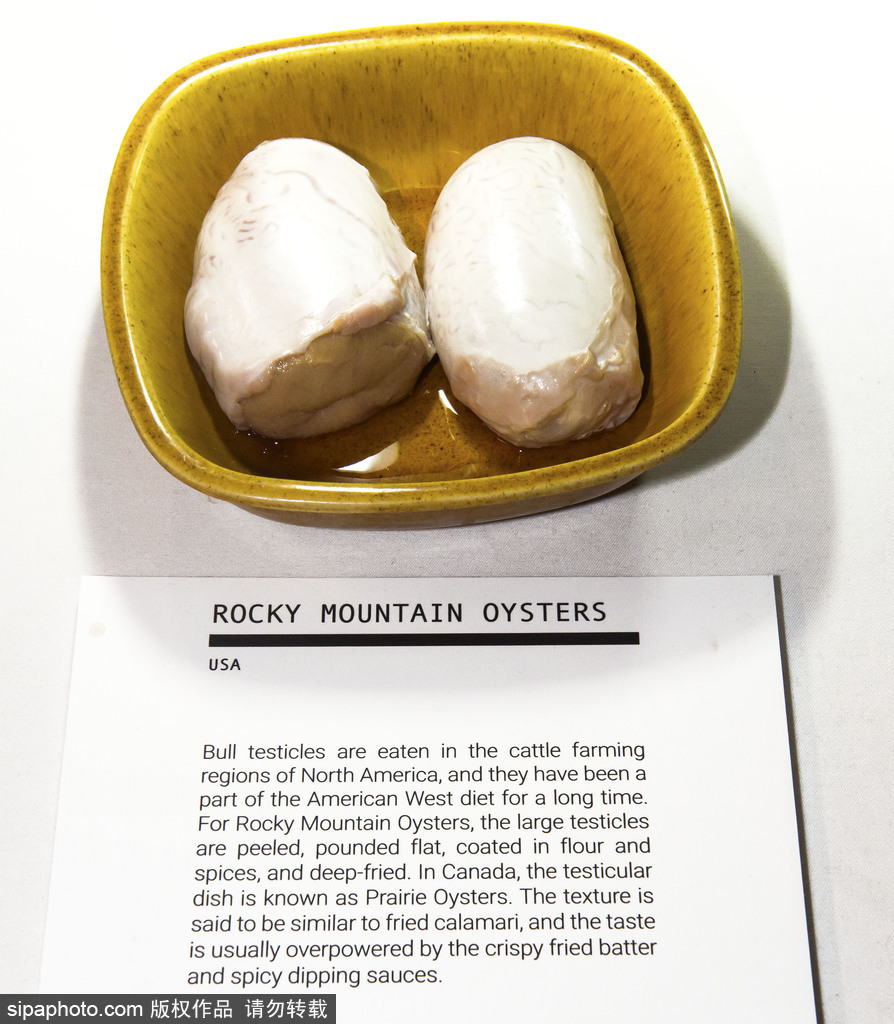 难以忍受美国恶心食品博物馆展80种世界上最恶心食物