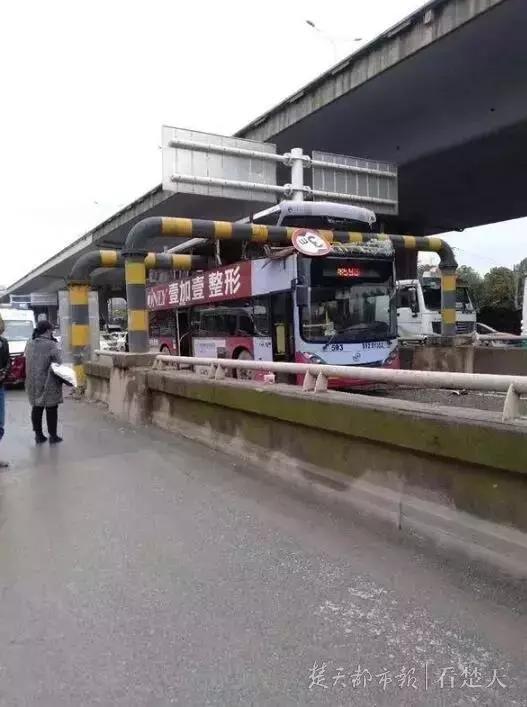 图片来源：楚天都市报
