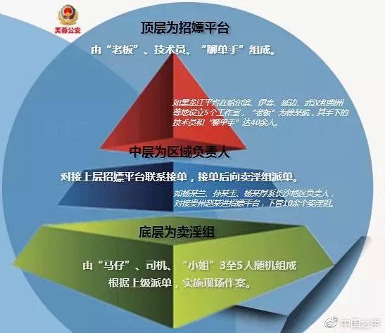 线上线下侦查，8省12地市集中收网抓获嫌疑人118人