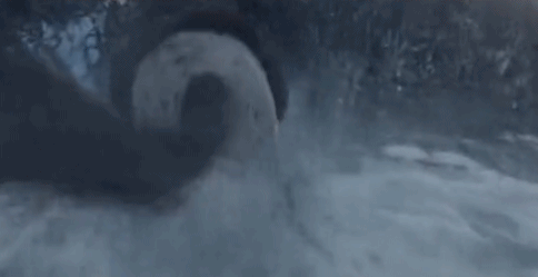 最重要的是,这些要命的时刻,他全都坚持自己实拍。