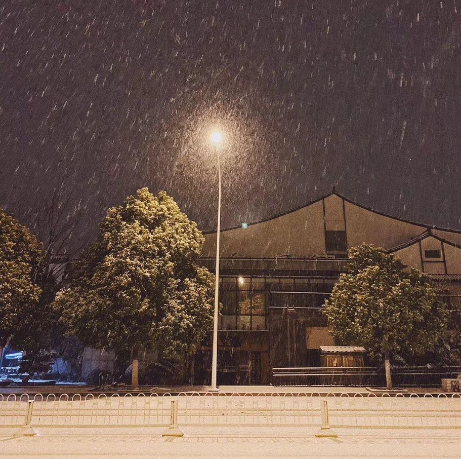 下雪啦一觉醒来武汉居然美成了这样朋友圈都被刷屏了