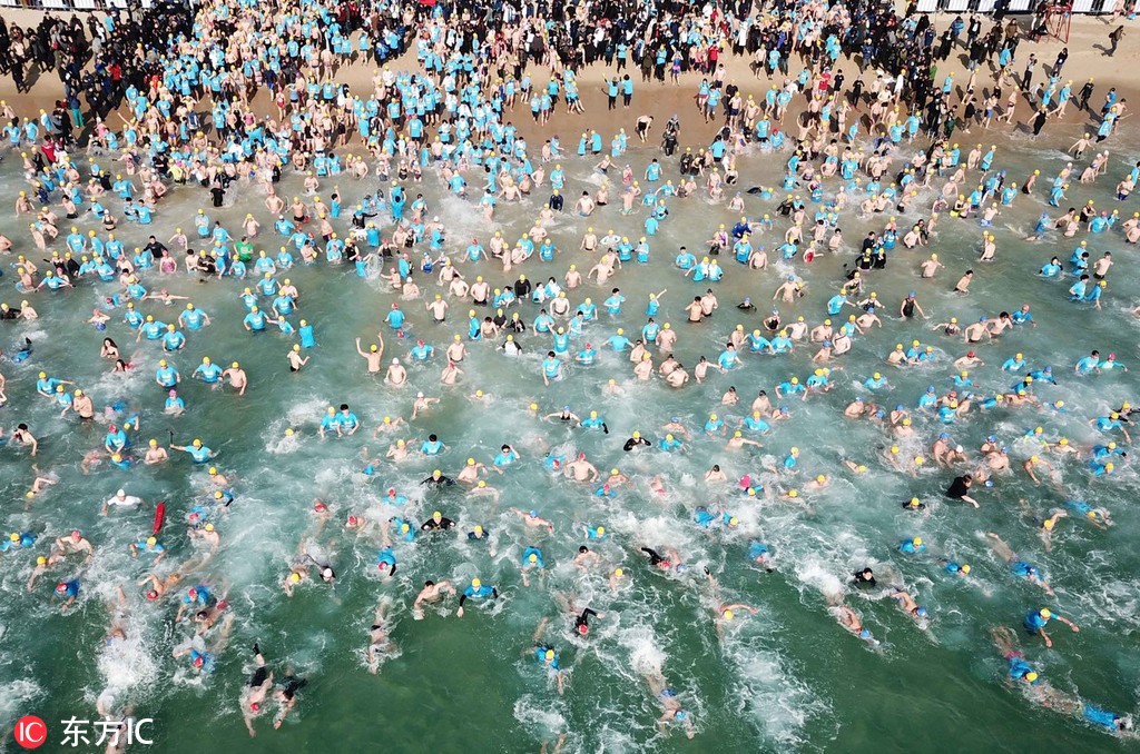 4 韩国釜山举行冬泳活动 4000多人齐"下饺子"
