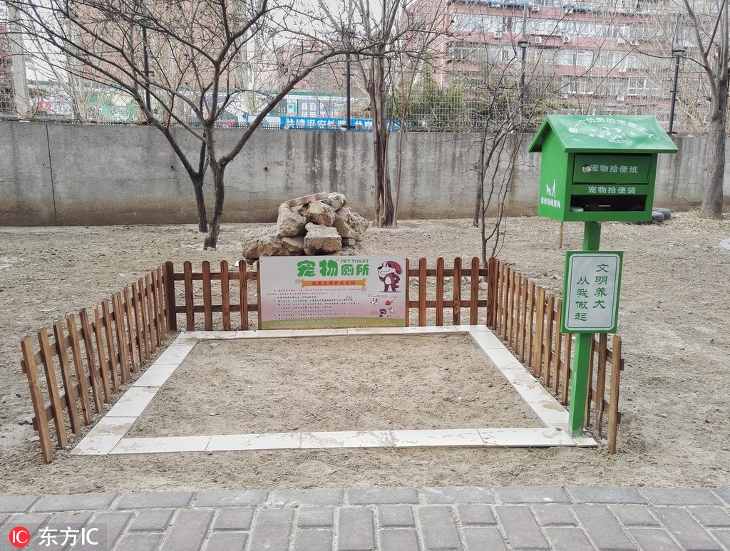 原来,这些围栏是专为小区内的宠物设置的公厕.