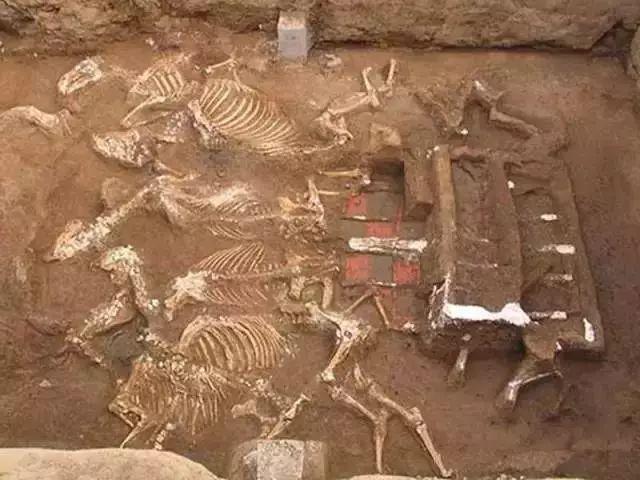 西安财经大学：秦始皇祖母之墓