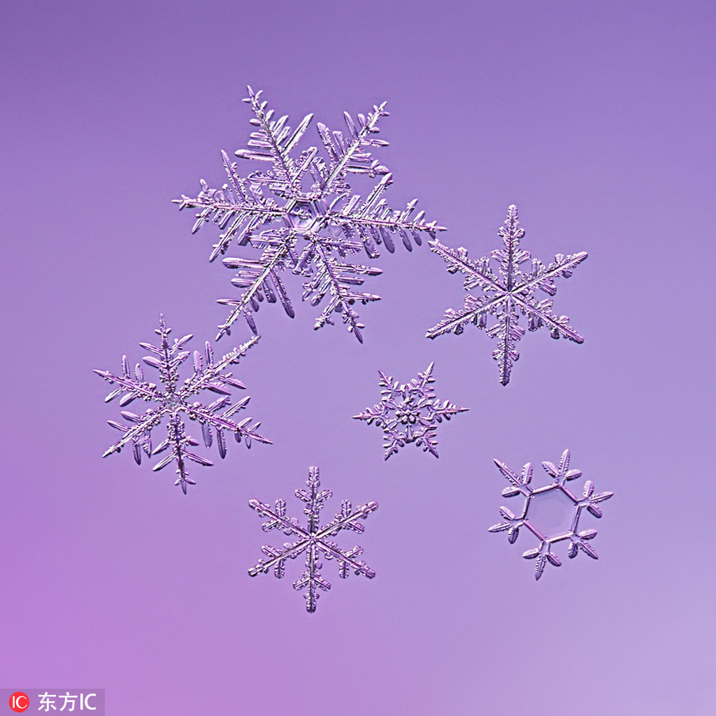 摄影师微距镜头捕捉雪花冬之精灵无比惊艳