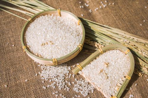 新潟大米8年后将重返中国餐桌,日本官员:对安全有绝对自信