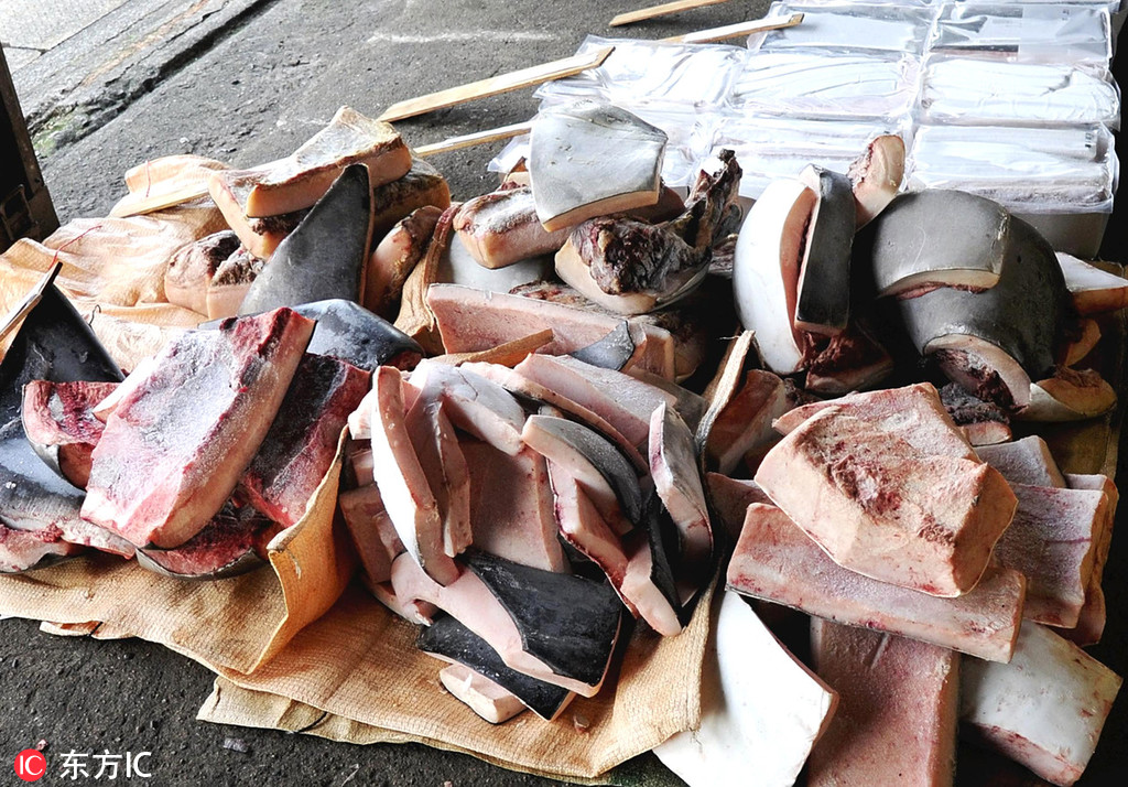 触目惊心直击日本鲸鱼肉批发市场