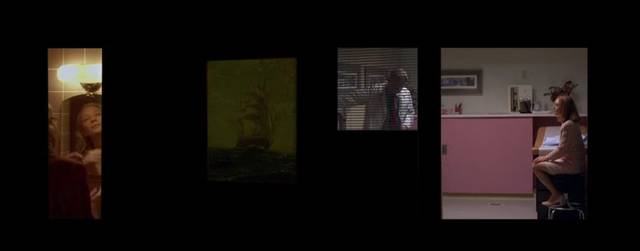 多功能的异常并置