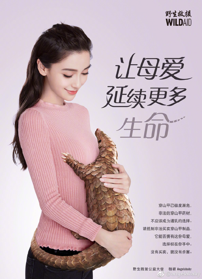 太无知?baby拍公益广告被骂帮倒忙,或成间接刽子手