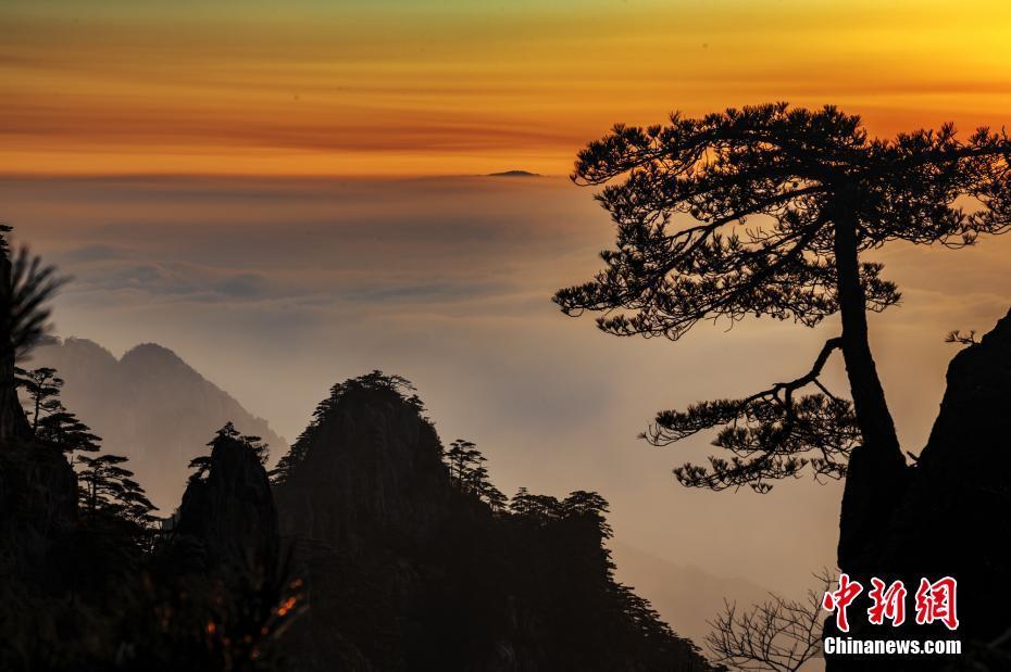 4 当云海遇上日出光晕 安徽黄山风景美如画境