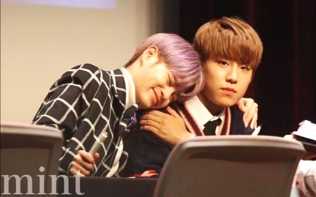 黄旼泫则会回归他本来所在的组合NU'EST继续活动。