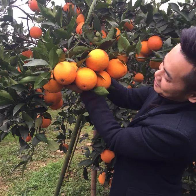 致富经2018年全集在线观看的简单介绍
