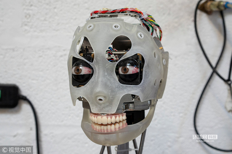 5 英国公司研发"画家"机器人 仿生眼栩栩如生