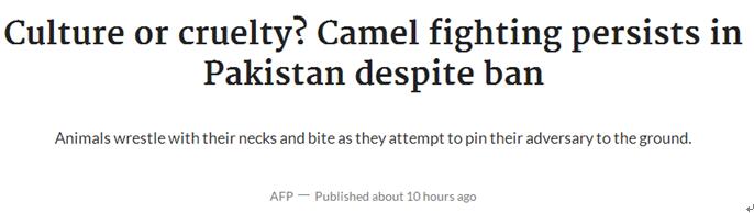 巴基斯坦《黎明报》报道截图