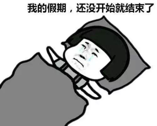 隔周休三,每周休2.5,这届代表非常关心群众的假期生活了