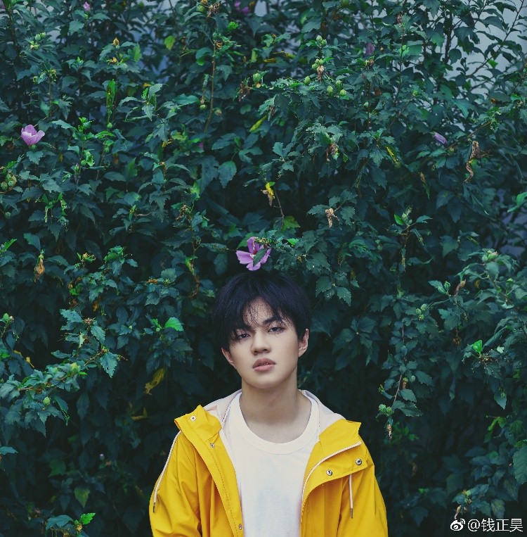 钱正昊《羞答答的玫瑰静悄悄地开》暖心上线 致敬经典