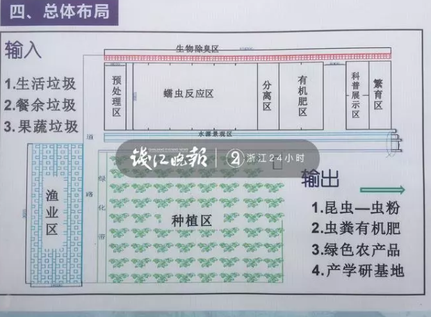 浙大教授捡垃圾养虫年入百万 网友:多读书果然赚钱