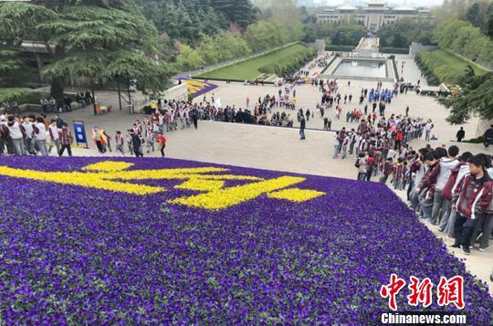 南京雨花台烈士陵园迎清明祭扫高峰 一周接待近50万人次