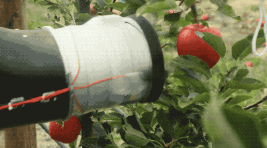 机器人摘苹果 果农的“世界末日”来临了吗？