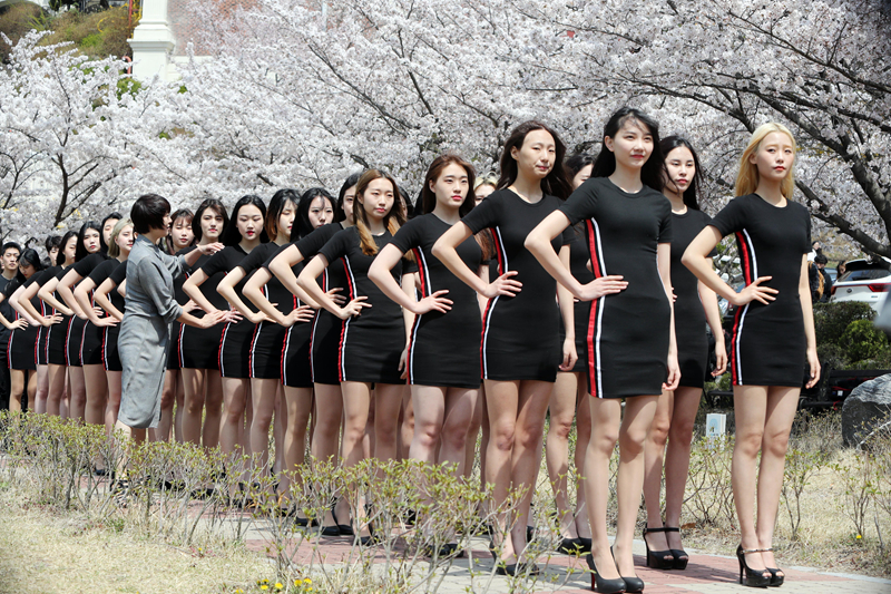 当地时间2019年4月8日,韩国大田,大德大学模特专业的学生在樱桃树下