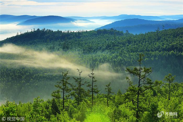 "一年之计,莫如树谷;十年之计,莫如树木.