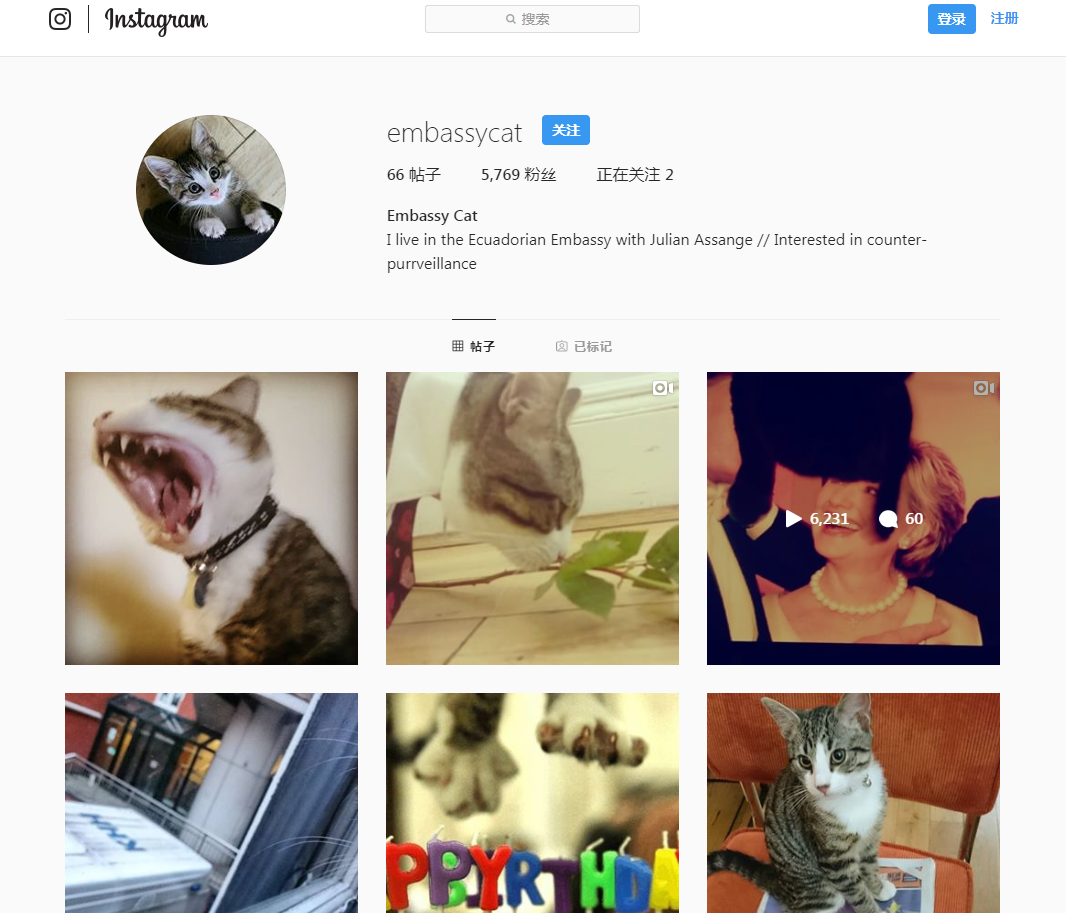 (“大使馆猫”Instagram账号截图)