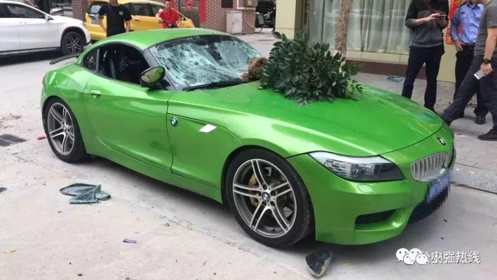 目前，罗某涉嫌故意毁坏公私财物罪，已被公安机关依法刑事拘留，案件还在进一步处理中。