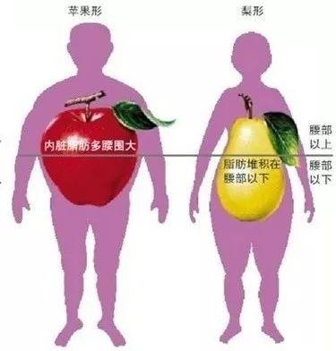 为什么看不见的胖更可怕?