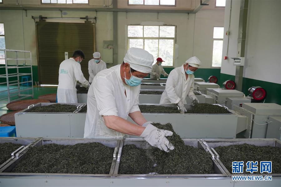 茶山新业