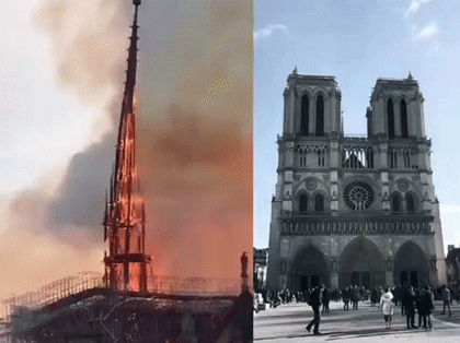 巴黎圣母院大火玫瑰花窗损毁法国人跪地哭泣 久久不肯离去