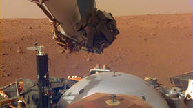 (“洞察号”在火星上 图片来源:NASA )