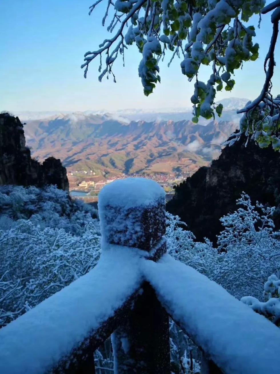 北京下雪了最美人间四月天这些雪景如诗如画