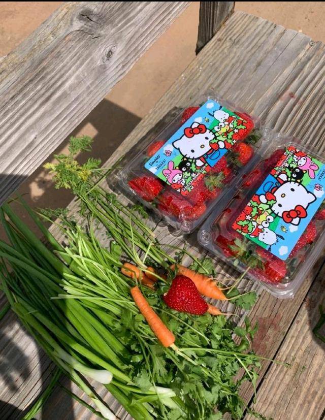 这一行下来她们的收获还不小，两盒草莓还有许多小胡萝卜，香菜和小葱。真是收获满满的一天呢~