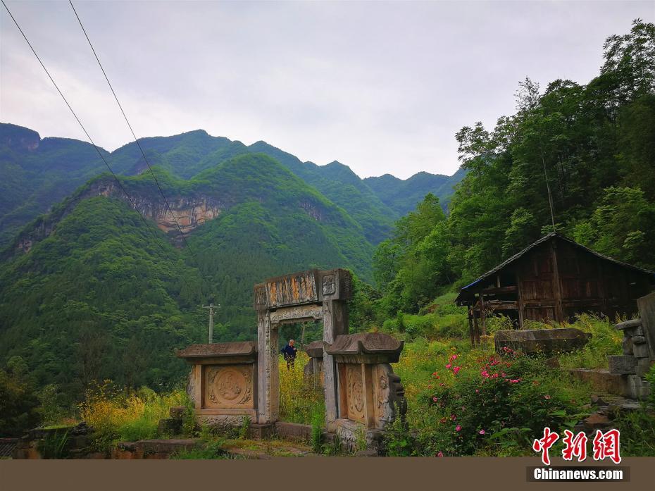 近日,在四川省广元市旺苍县高阳镇双午村二社的大山深处发现一座