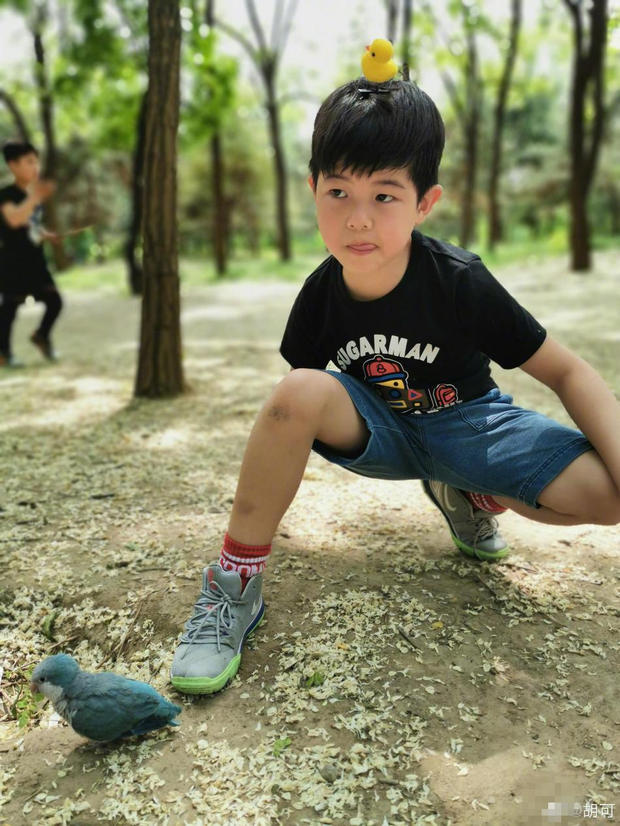 胡可带安吉小鱼儿野餐 俩正太搭帐篷切水果真全能