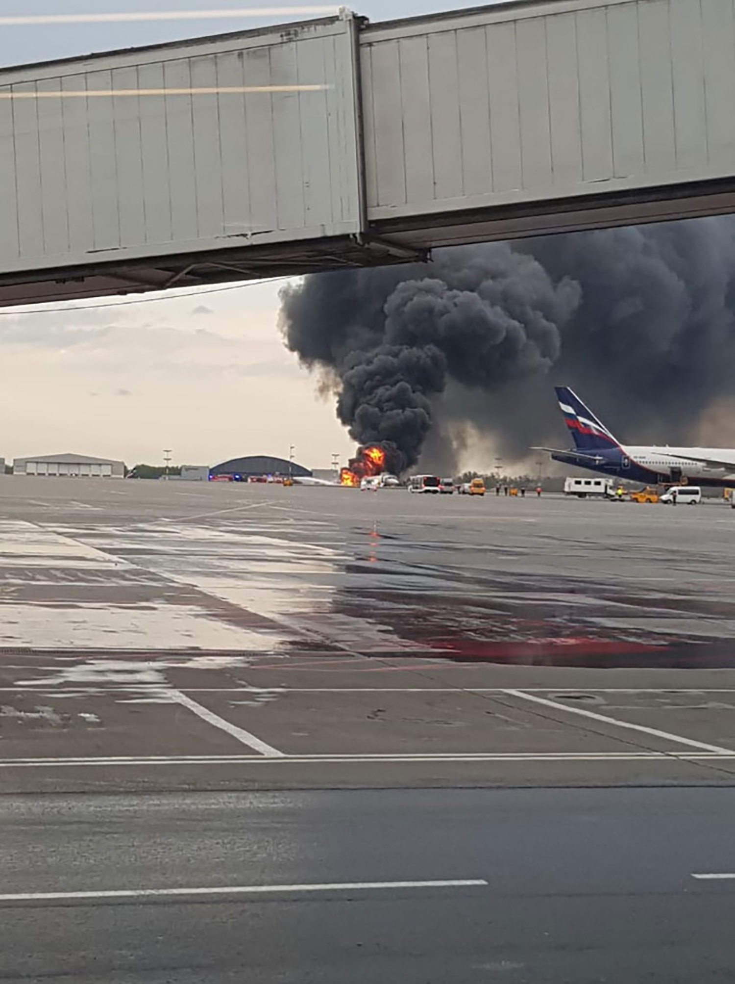 俄航客机紧急降落时起火 已致41人遇难
