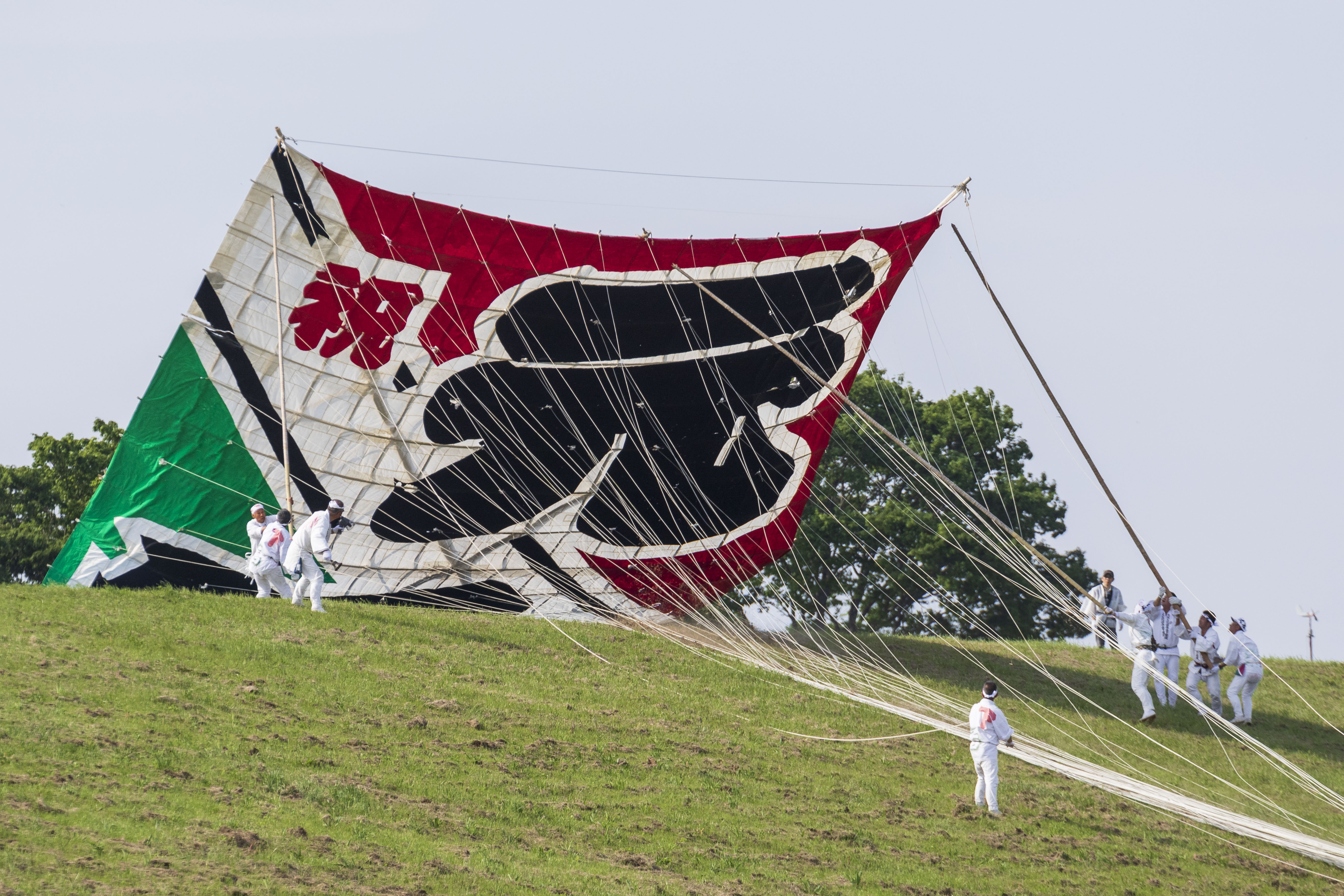 日本多地举办风筝节神奈川民众放飞巨型令和风筝