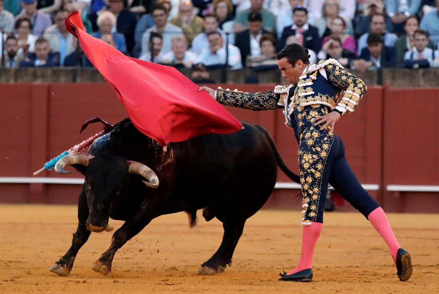 西班牙四月节惊险一幕斗牛士抱头躲避蛮牛冲撞