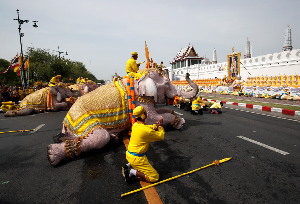 泰国大象在皇宫外行跪拜礼 致敬新泰王