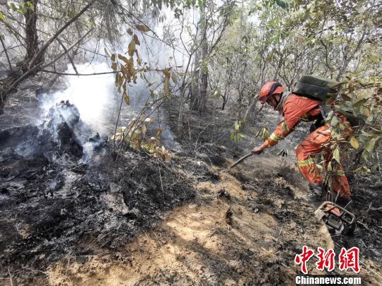 图为消防官兵正在集中清理火场。云南省森林消防总队供图