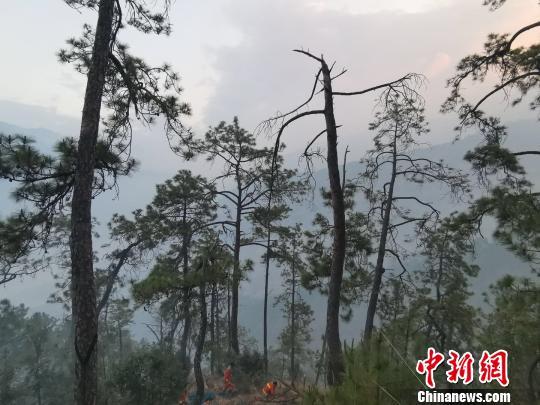 图为消防官兵正在集中清理火场。云南省森林消防总队供图