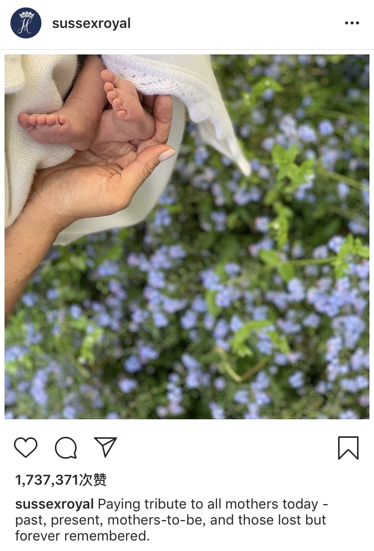 哈里王子夫妇的Instagram官方账号截图