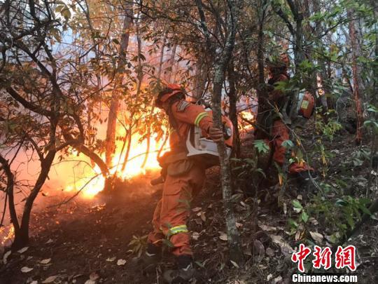 图为火灾现场。 云南省森林消防总队供图 摄