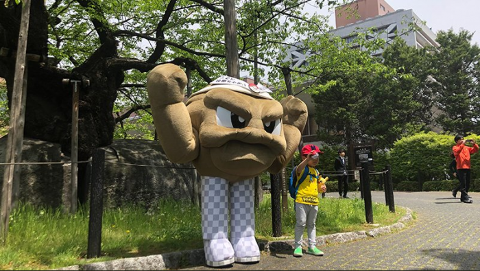 宝可梦 与岩手县合作小拳石担当宣传大使