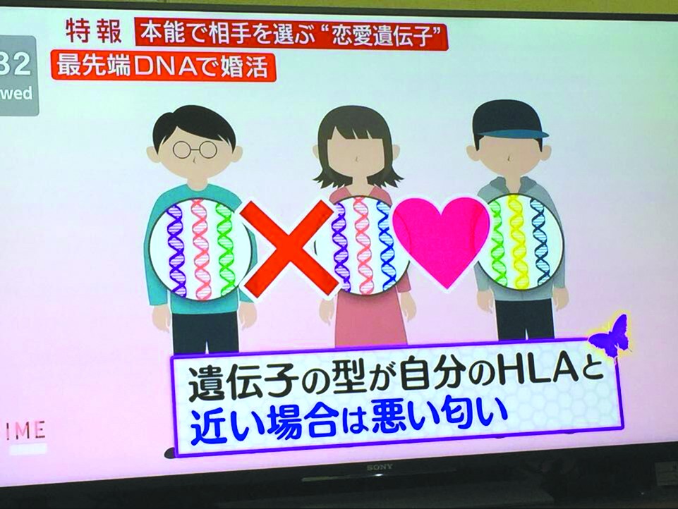环球网