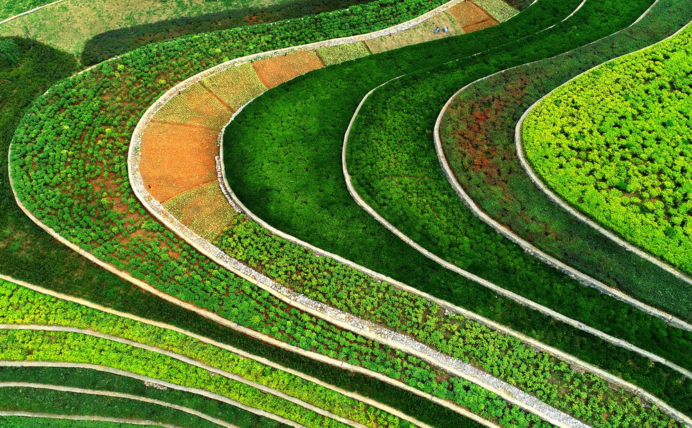 俯瞰贵州古镇中梯田宛如大地指纹美不胜收